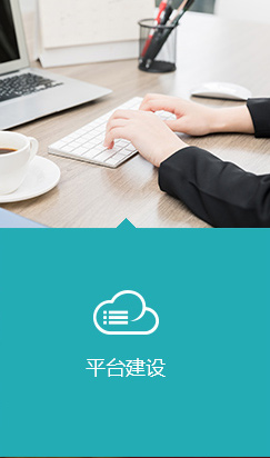 这是描述信息